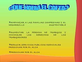 ¿QUE HARIA EL CAFTA? AMENAZAR A LAS FAMILIAS CAMPESINAS Y AL DESARROLLO SUSTENTABLE AUMENTAR LA PERDIDA DE TRABAJOS Y MINIMIZAR LOS DERECHOS DE LOS TRABAJADORES REDUCIR SERVICIOS PUBLICOS ESENCIALES PRESIONAR POR EL ALCA PRESIONAR POR EL ALCA   