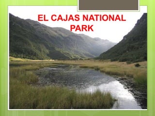EL CAJAS NATIONAL
PARK
 