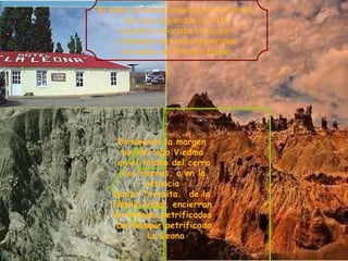 .  .  .  Bordeando la margen  sur del lago Viedma  en el faldeo del cerro Los Hornos, a en la  estancia  Santa Teresita.  de la  familia Vidal, encierran  los árboles petrificados  Del bosque petrificado La Leona E l hotel La Leona, detenido en el tiempo, con sus recuerdos de 1916  cuando funcionaba como bar  y almacén de ramos generales  al mando de Theodor Baash 