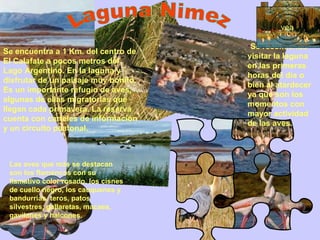 Se encuentra a 1 Km. del centro de El Calafate a pocos metros del Lago Argentino. En la laguna y disfrutar de un paisaje muy bonito. Es un importante refugio de aves, algunas de ellas migratorias que llegan cada primavera. La reserva cuenta con carteles de información y un circuito peatonal.  Las aves que más se destacan son los flamencos con su llamativo color rosado, los cisnes de cuello negro, los cauquenes y bandurrias, teros, patos silvestres, gallaretas, macaes, gavilanes y halcones. Se recomienda visitar la laguna en las primeras horas del día o bien al atardecer ya que son los momentos con mayor actividad de las aves. Laguna Nimez vea 