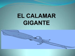 EL CALAMAR GIGANTE 1 