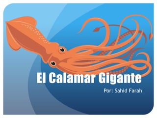 El Calamar Gigante
Por: Sahid Farah
 