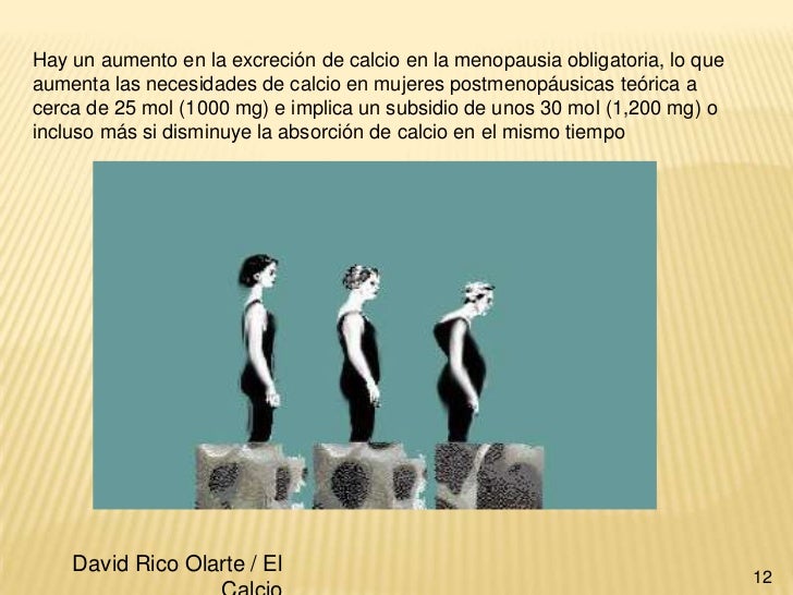 El calcio en el sistema oseo