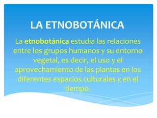 LA ETNOBOTÁNICA
La etnobotánica estudia las relaciones
entre los grupos humanos y su entorno
      vegetal, es decir, el uso y el
aprovechamiento de las plantas en los
 diferentes espacios culturales y en el
                tiempo.
 
