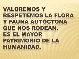 VALOREMOS Y
RESPETEMOS LA FLORA
Y FAUNA AUTÓCTONA
QUE NOS RODEAN.
ES EL MAYOR
PATRIMONIO DE LA
HUMANIDAD.
 