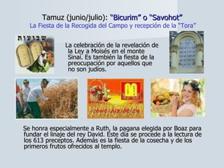 Tamuz (junio/julio):  “Bicurim” o “Savohot”   La Fiesta de la Recogida del Campo y recepción de la “Tora” La celebración de la revelación de la Ley a Moisés en el monte Sinaí. Es también la fiesta de la preocupación por aquellos que no son judíos.  Se honra especialmente a Ruth, la pagana elegida por Boaz para fundar el linaje del rey David. Este día se procede a la lectura de los 613 preceptos. Además es la fiesta de la cosecha y de los primeros frutos ofrecidos al templo. 