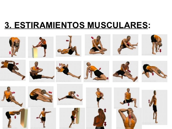 Resultado de imagen para calentamiento muscular