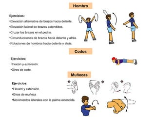 Hombro
Ejercicios:
•Elevación alternativa de brazos hacia delante.
•Elevación lateral de brazos extendidos.
•Cruzar los brazos en el pecho.
•Circunducciones de brazos hacia delante y atrás.
•Rotaciones de hombros hacia delante y atrás.
Codos
Ejercicios:
•Flexión y extensión.
•Giros de codo.
Muñecas
Ejercicios:
•Flexión y extensión.
•Giros de muñeca
•Movimientos laterales con la palma extendida.
 