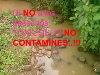 olas de calor mortales y la propagación de enfermedades