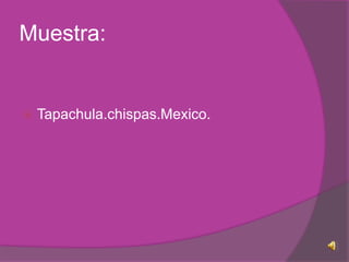 Muestra:Tapachula.chispas.Mexico.