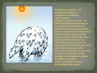 Ecosistemas costeros - Los ecosistemas costeros —manglares, arrecifes de coral, sistemas playeros, estuarios, y otros— se afectarían significativamente, ya que un alza en el nivel del mar inundaría las áreas de humedales costeros, causaría un aumento en la erosión costera y salinizaría las aguas en la parte baja de los ríos y en los acuíferos costeros. Las edificaciones muy cercanas a la costa podrían verse afectadas por la acción del oleaje, que podría socavar sus cimientos. Los arrecifes de coral, cuya función es la de proteger a los manglares y playas del oleaje y la erosión costera, quedarían a mayor profundidad bajo el mar. 