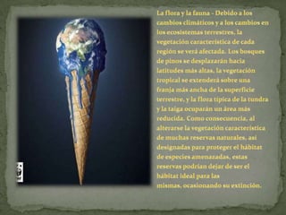 La flora y la fauna - Debido a los cambios climáticos y a los cambios en los ecosistemas terrestres, la vegetación característica de cada región se verá afectada. Los bosques de pinos se desplazarán hacia latitudes más altas, la vegetación tropical se extenderá sobre una franja más ancha de la superficie terrestre, y la flora típica de la tundra y la taiga ocuparán un área más reducida. Como consecuencia, al alterarse la vegetación característica de muchas reservas naturales, así designadas para proteger el hábitat de especies amenazadas, estas reservas podrían dejar de ser el hábitat ideal para las mismas, ocasionando su extinción.