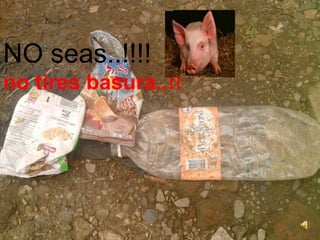 sequías y fuegos arrasadores