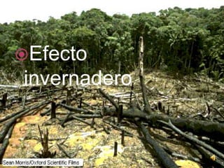 aumenta el nivel del mar