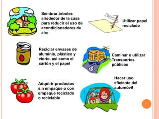 Sembrar árboles
 alrededor de la casa
                               Utilizar papel
 para reducir el uso de
                               reciclado
 acondicionadores de
 aire



Reciclar envases de
aluminio, plástico y      Caminar o utilizar
vidrio, así como el       Transportes
cartón y el papel         públicos


                           Hacer uso
Adquirir productos         eficiente del
sin empaque o con          automóvil
empaque reciclado
o reciclable
 