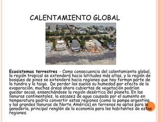 CALENTAMIENTO GLOBAL
Ecosistemas terrestres - Como consecuencia del calentamiento global,
la región tropical se extenderá hacia latitudes más altas, y la región de
bosques de pinos se extenderá hacia regiones que hoy forman parte de
la tundra y la taiga. De perder los suelos su humedad por efecto de la
evaporación, muchas áreas ahora cubiertas de vegetación podrían
quedar secas, ensanchándose la región desértica del planeta. En las
llanuras continentales, la escasez de agua causada por el aumento en
temperatura podría convertir estas regiones (como la pampa argentina
y las grandes llanuras de Norte América) en terrenos no aptos para la
ganadería, principal renglón de la economía para los habitantes de estas
regiones.
 