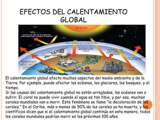 EFECTOS DEL CALENTAMIENTO
GLOBAL
El calentamiento global afecta muchos aspectos del medio ambiente y de la
Tierra. Por ejemplo, puede afectar los océanos, los glaciares, los bosques, y el
tiempo.
Si las causas del calentamiento global no están arregladas, los océanos van a
sufrir. El coral no puede vivir cuando el agua es tan tibio, y por eso, muchos
corales mundiales van a morir. Este fenómeno se llama “la decoloración de los
corales.” En el Caribe, más o menos de 50% de los corales ya ha muerto, y los
científicos dicen que si el calentamiento global continúa en esta manera, todos
los corales mundiales podrían morir en los próximos 100 años.
 