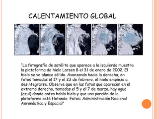 CALENTAMIENTO GLOBAL
“La fotografía de satélite que aparece a la izquierda muestra
la plataforma de hielo Larsen B el 31 de enero de 2002. El
hielo se ve blanco sólido. Avanzando hacia la derecha, en
fotos tomadas el 17 y el 23 de febrero, el hielo empieza a
desintegrarse. Observe que en las fotos que aparecen en el
extremo derecho, tomadas el 5 y el 7 de marzo, hay agua
(azul) donde antes había hielo y que una porción de la
plataforma está flotando. Fotos: Administración Nacional
Aeronáutica y Espacial”
 