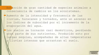 Extinción de gran cantidad de especies animales a
consecuencia de cambios en los ecosistemas.

Aumento de la intensidad y frecuencia de las
lluvias, huracanes y tornados, ante un ascenso en
los índices de nubosidad por el incremento de la
evaporación del agua.
Los suelos se tornarán casi desérticos, perdiendo
gran parte de sus nutrientes. Producido esto por
largas sequías, acompañadas de altas temperaturas
y lluvias intensas que arrastran el suelo.

 