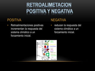 POSITIVA NEGATIVA
• Retroalimentaciones positivas
incrementan la respuesta del
sistema climático a un
forzamiento inicial.
• reducen la respuesta del
sistema climático a un
forzamiento inicial.
 
