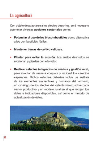 12
La agricultura
Con objeto de adaptarse a los efectos descritos, será necesario
acometer diversas acciones sectoriales como:
• Potenciar el uso de los biocombustibles como alternativa
a los combustibles fósiles.
• Mantener tierras de cultivo valiosas.
• Plantar para evitar la erosión. Los suelos desnudos se
erosionan y pierden con ello valor.
• Realizar estudios integrados de análisis y gestión rural,
para afrontar de manera conjunta y racional los cambios
esperados. Dichos estudios deberían incluir un análisis
de los elementos ambientales y humanos del territorio,
un catálogo de los efectos del calentamiento sobre cada
sector productivo y un modelo rural en el que recojan los
datos e indicadores disponibles, así como el método de
actualización de éstos.
 