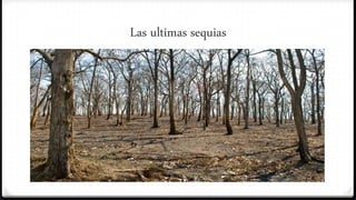 Las ultimas sequias
 