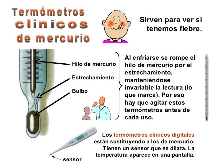 TermÃ³metros clÃ­nicos de mercurio Sirven para ver si tenemos fiebre. Hilo de mercurio Estrechamiento Bulbo Al enfriarse se ...