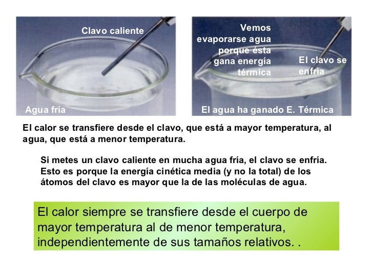 El calor siempre se transfiere desde el cuerpo de mayor temperatura al de menor temperatura, independientemente de sus tam...