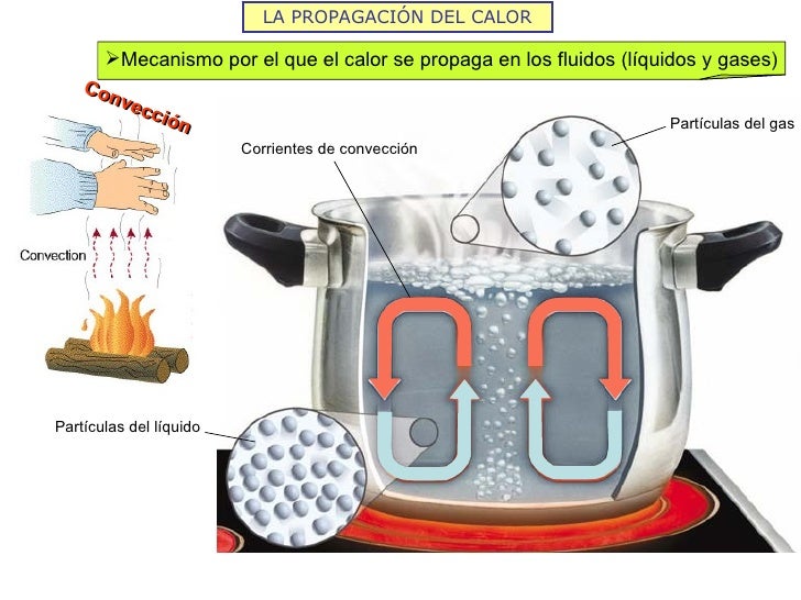 El calor y la temperatura 2012
