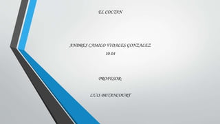 EL COLTAN
ANDRES CAMILO VIDALES GONZALEZ
10-04
PROFESOR:
LUIS BETANCOURT
 
