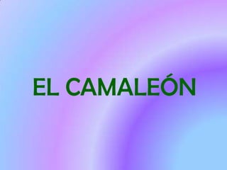 EL CAMALEÓN
 
