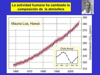 La actividad humana ha cambiado la
   composición de la atmósfera
 