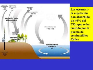 Los océanos y
la vegetación
han absorbido
un 40% del
CO2 que se ha
emitido por la
quema de
combustibles
fósiles.
 