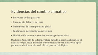 Evidencias del cambio climático
• Retroceso de los glaciares

• Incremento del nivel del mar

• Incremento de la temperatura global

• Fenómenos meteorológicos extremos

• Modificación de comportamiento de organismos vivos

Medusas: Aumento de la temperatura debido al cambio climático. El
calor hace que estos animales encuentren cada vez más zonas aptas
para reproducirse acelerando dicho proceso biológico.
 