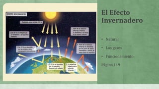 El Efecto
Invernadero

• Natural

• Los gases

• Funcionamiento

Página 119
 