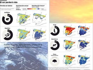 Fuente: Impactos, vulnerabilidad y adaptación al
cambio climático de la biodivversidad española.
 