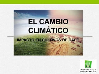 EL CAMBIO
CLIMÁTICO
IMPACTO EN CULTIVOS DE CAFÉ
 