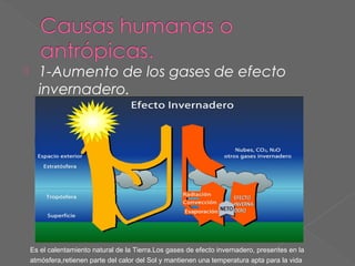 

1-Aumento de los gases de efecto
invernadero.

Es el calentamiento natural de la Tierra.Los gases de efecto invernadero, presentes en la
atmósfera,retienen parte del calor del Sol y mantienen una temperatura apta para la vida

 