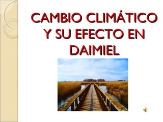 CAMBIO CLIMÁTICOCAMBIO CLIMÁTICO
Y SU EFECTO ENY SU EFECTO EN
DAIMIELDAIMIEL
 