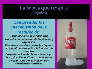 La botella que respira 
(Objetivo) 
Comprender los 
mecanismos de la 
respiración. 
•Elaboración de un modelo para 
demostrar los procesos de inspiración y 
espiración. 
•Establecer relaciones entre los órganos 
del aparato respiratorio y la función que 
cumplen. 
•Despertar el interés de los alumnos por 
la explicación de diversos fenómenos 
relacionados con la presión con 
experiencias sencillas. 
 