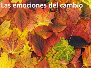 Las emociones del cambio
 