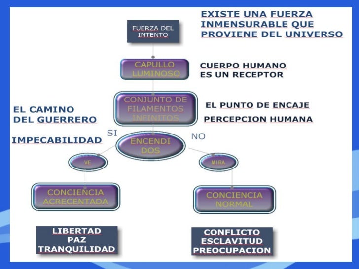 Ensayo De El Camino Del Guerrero