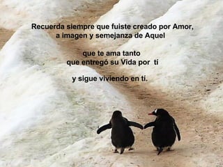 Recuerda siempre que fuiste creado por Amor, a imagen y semejanza de Aquel  que te ama tanto  que entregó su Vida por  tí y sigue viviendo en tí. 