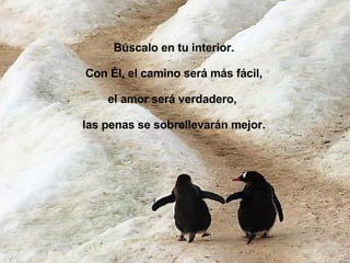 Búscalo en tu interior. Con Él, el camino será más fácil, el amor será verdadero,  las penas se sobrellevarán mejor. 