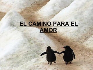 EL CAMINO PARA EL AMOR   