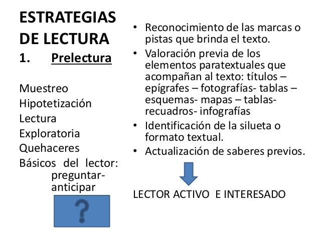 El camino lector