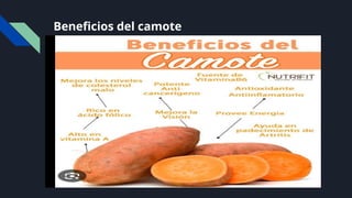 Beneficios del camote
 