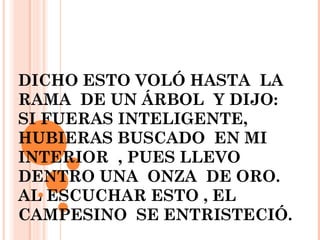 DICHO ESTO VOLÓ HASTA LA
RAMA DE UN ÁRBOL Y DIJO:
SI FUERAS INTELIGENTE,
HUBIERAS BUSCADO EN MI
INTERIOR , PUES LLEVO
DENTRO UNA ONZA DE ORO.
AL ESCUCHAR ESTO , EL
CAMPESINO SE ENTRISTECIÓ.
 