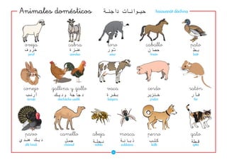 Animales domésticos                                             haiauanát dáchina




 oveja               cabra              toro               caballo                  pato
   jarúf              aándsa             záur               hisán                    bátt




 conejo      gallina y gallo            vaca               cerdo                    ratón
  árnab        dachácha uadík           báqara              jindsír                   fár




 pavo           camello         abeja            mosca     perro                    gato
 dík híndi        chámal        náhla            zubbána     kálb                    qítta

                                          62
 