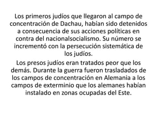 Los primeros judíos que llegaron al campo de 
concentración de Dachau, habían sido detenidos 
a consecuencia de sus acciones políticas en 
contra del nacionalsocialismo. Su número se 
incrementó con la persecución sistemática de 
los judíos. 
Los presos judíos eran tratados peor que los 
demás. Durante la guerra fueron trasladados de 
los campos de concentración en Alemania a los 
campos de exterminio que los alemanes habían 
instalado en zonas ocupadas del Este. 
 
